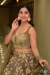 Kashmira at Nartanasala Pre Release Event